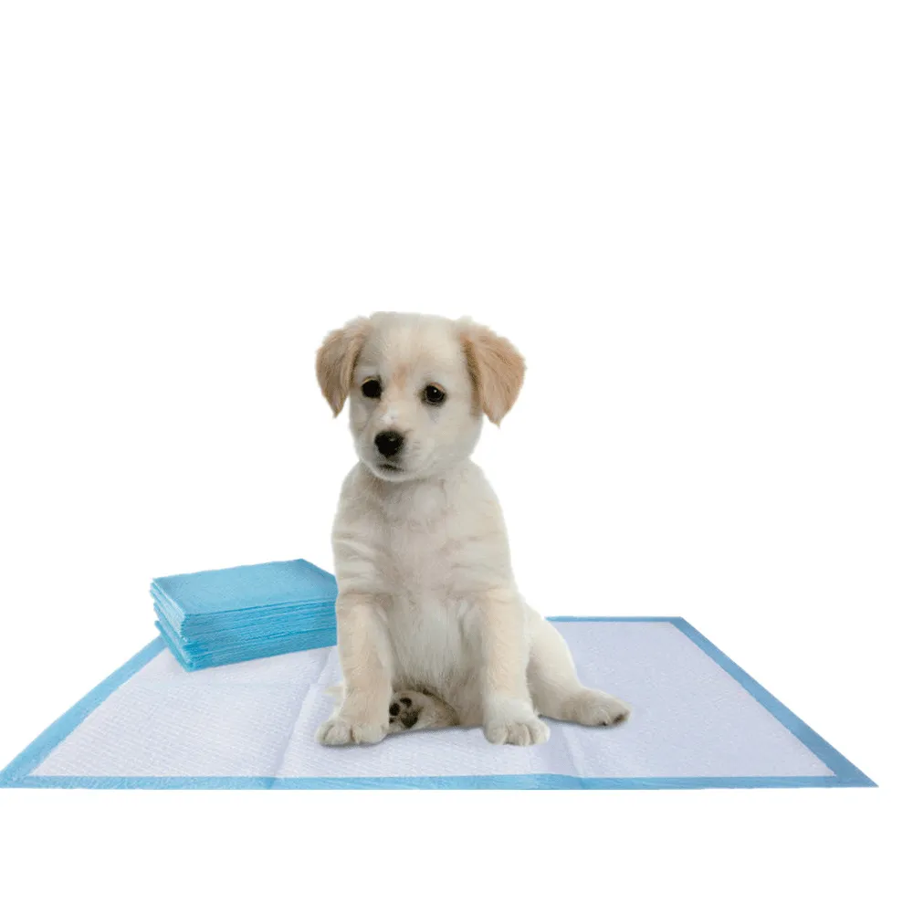 Telijie Disposable Puppy Training Pads: The Ideal Choice for Pet Owners